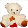 White Beauty with Scarf  BST 9004 - Click here to View more details about this Product